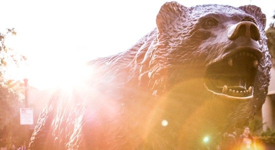 Image of UCLA